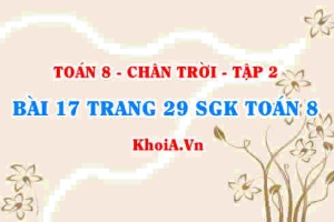 Bài 17 trang 29 Toán 8 Chân trời sáng tạo Tập 2